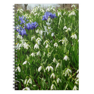 Cuaderno Hillside of Early Spring Flowers Landscape