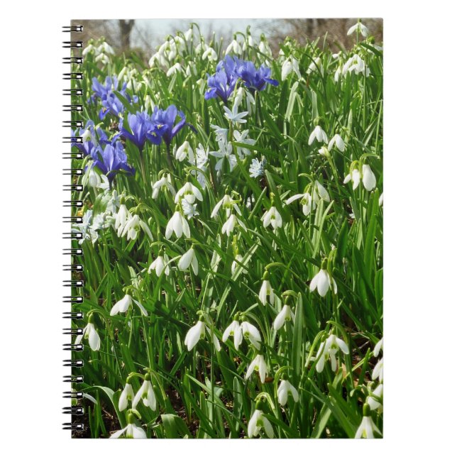 Cuaderno Hillside of Early Spring Flowers Landscape (Frente)