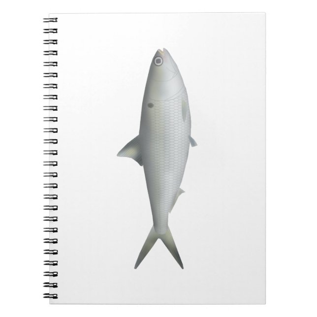 Cuaderno Hilsa Shad (Frente)