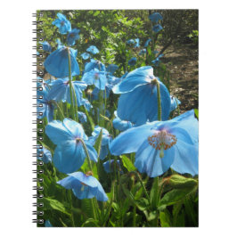 Cuaderno Himalayan de la página de la amapola azul