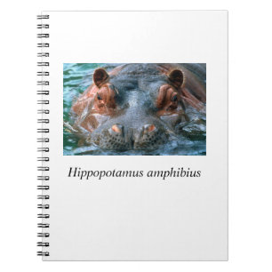Cuaderno Hippo#1