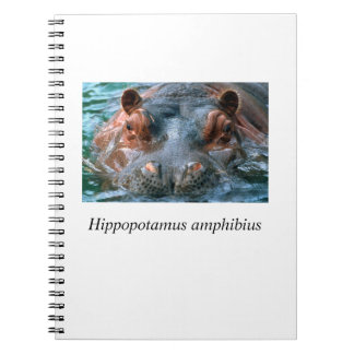 Cuaderno Hippo#1