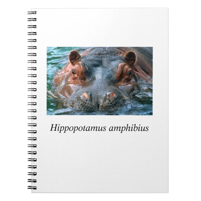 Cuaderno Hippo#1 (Frente)