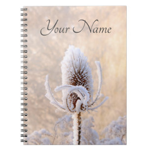 Cuaderno Hoarfrost Teasels Foto de invierno Nombre de la na