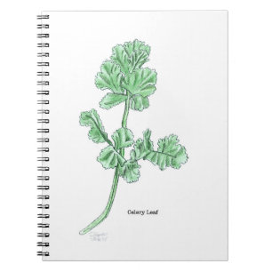 Cuaderno Hoja de Apio