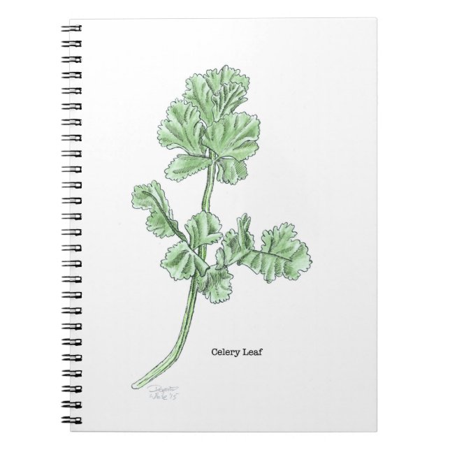 Cuaderno Hoja de Apio (Frente)