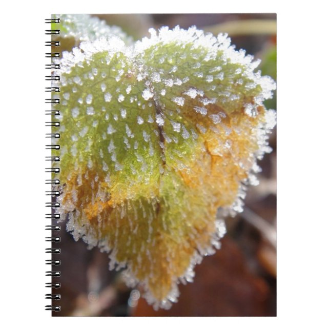 Cuaderno Hoja en forma de corazón con escarcha (Frente)