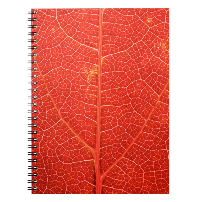 Cuaderno Hoja otoñal (Frente)