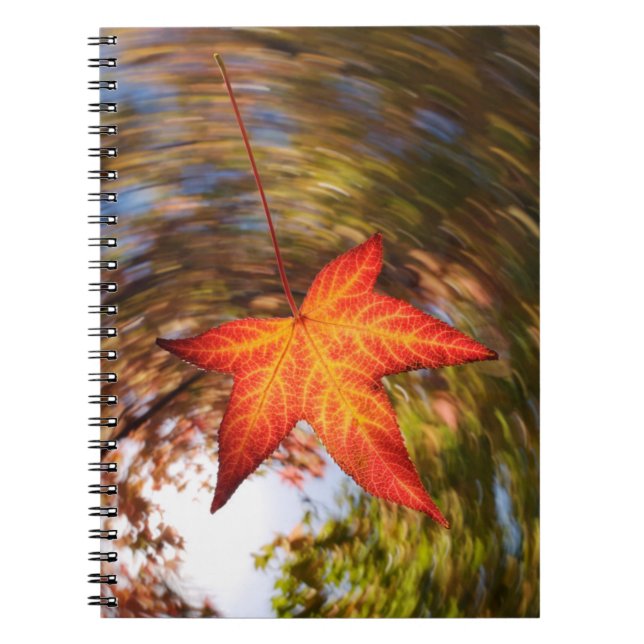 Cuaderno Hoja que cae de un árbol en otoño (Frente)
