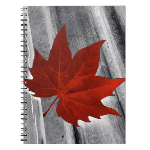 Cuaderno hoja roja