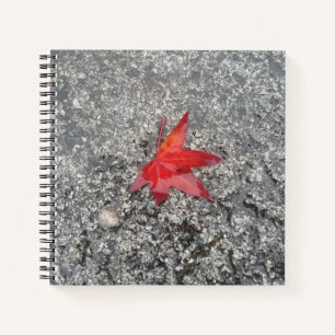 Cuaderno Hoja roja de otoño en lluvia en camino gris textur
