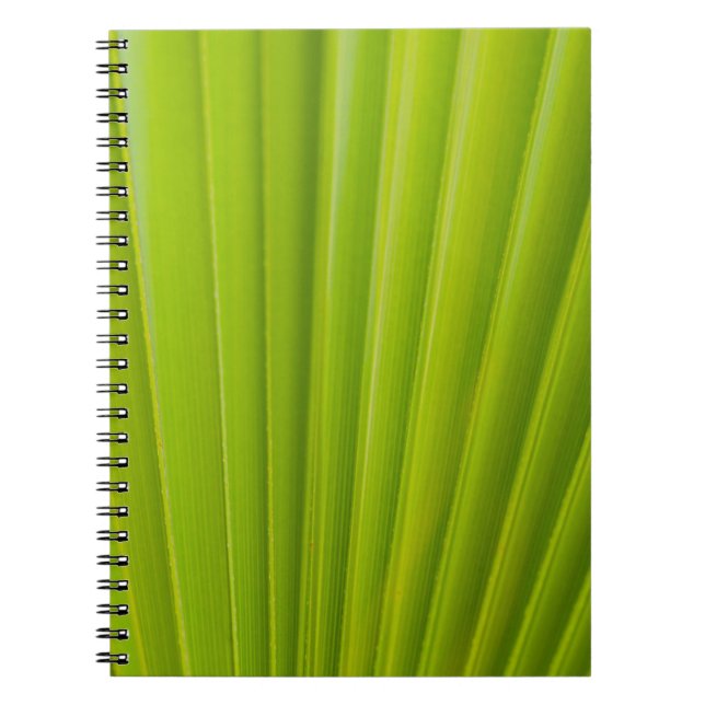 Cuaderno Hoja verde (Frente)