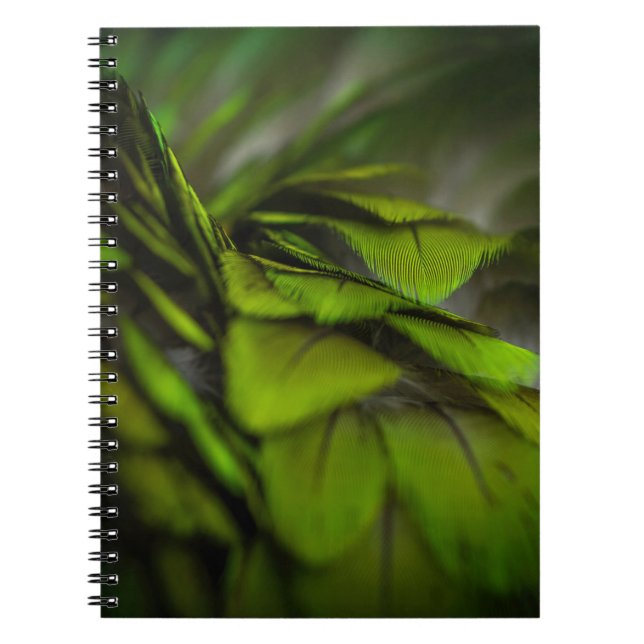 Cuaderno Hoja verde (Frente)