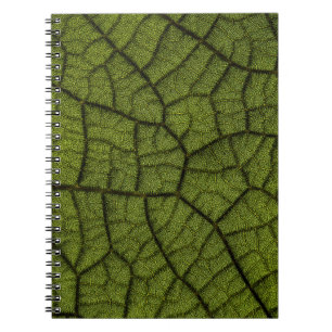 Cuaderno Hoja verde