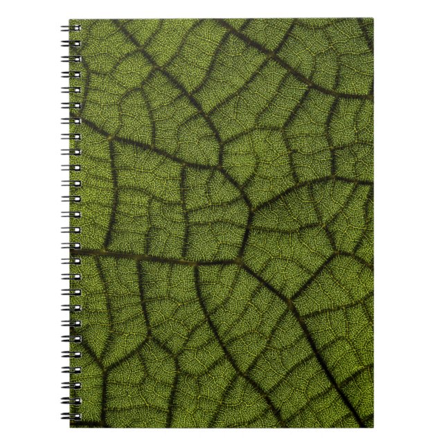 Cuaderno Hoja verde (Frente)