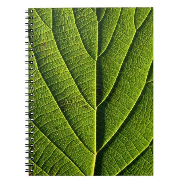 Cuaderno Hoja verde (Frente)