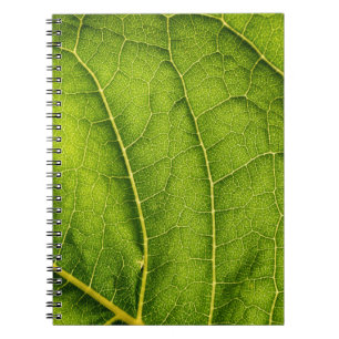 Cuaderno Hoja verde