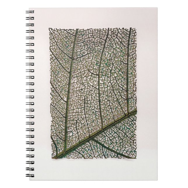 Cuaderno Hoja verde (Frente)