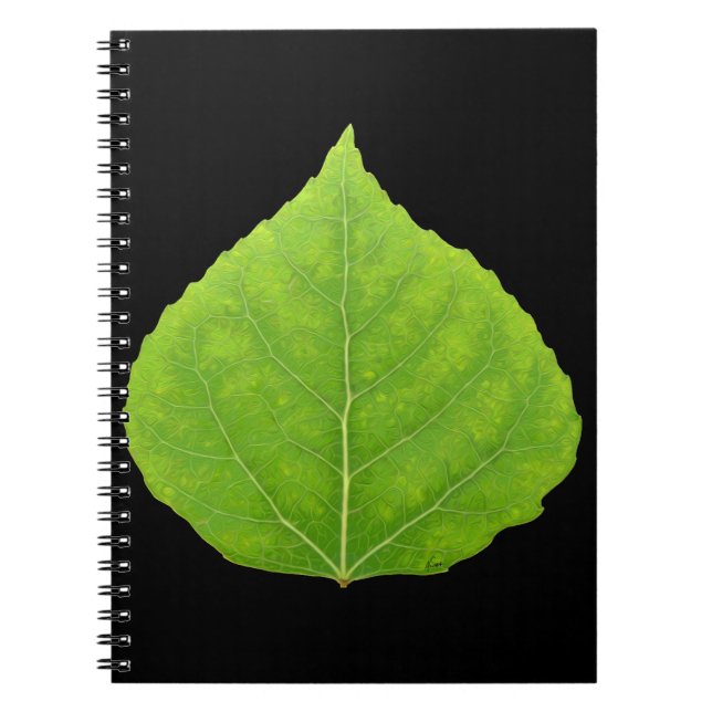 Cuaderno Hoja verde #11 de Aspen (Frente)