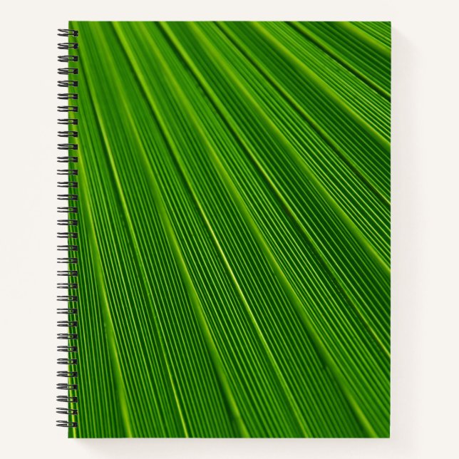 Cuaderno Hoja verde de cierre (Anverso)