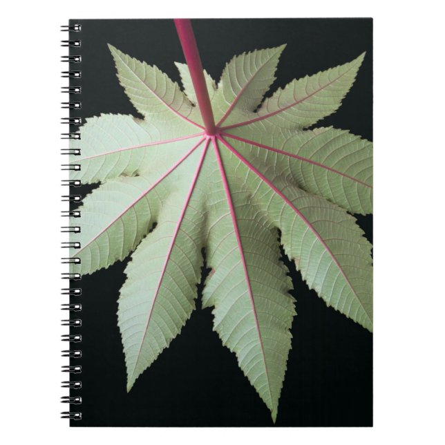 Cuaderno Hoja y tronco (Frente)