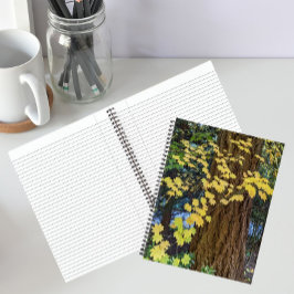 Cuaderno Hojas amarillas de arce y abeto de Douglas