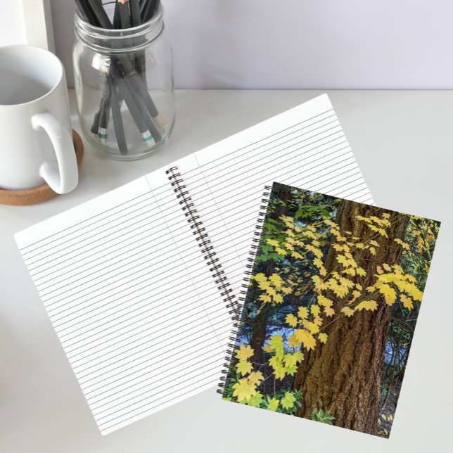 Cuaderno Hojas amarillas de arce y abeto de Douglas (In Situ)