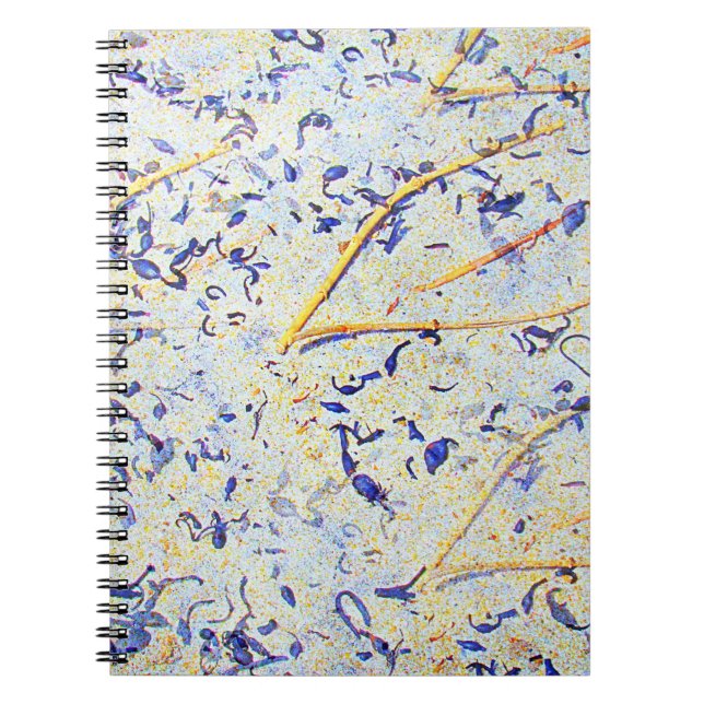 Cuaderno Hojas arenosas (Frente)