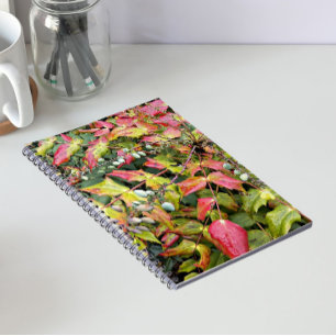Cuaderno Hojas Coloridas de Mahonia con Flores de Bayas