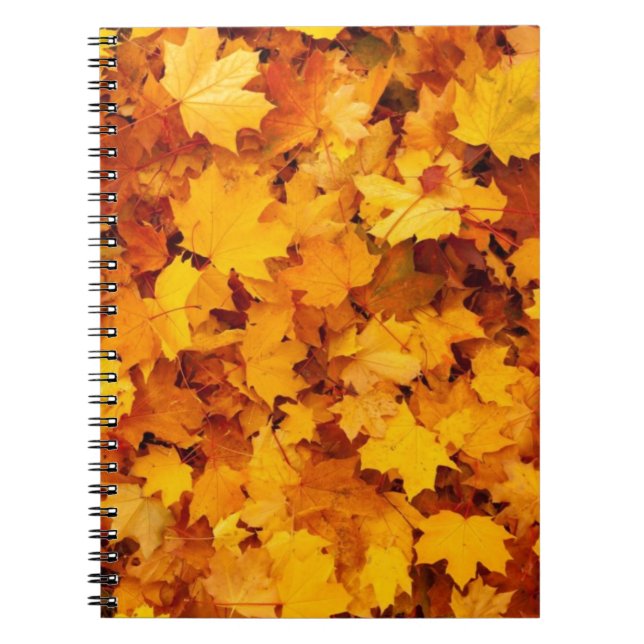 Cuaderno Hojas de Arce Amarillas de Otoño (Frente)
