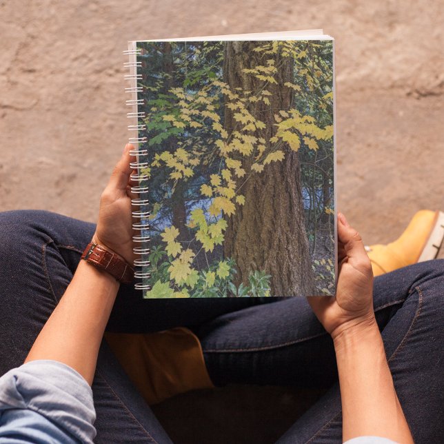 Cuaderno Hojas de arce amarillas y rocas de Douglas (In Situ)