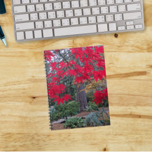 Cuaderno Hojas de Arce Rojo en un Jardín Japonés