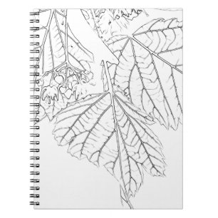 Cuaderno Hojas de Basswood