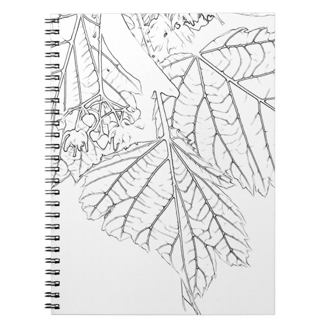 Cuaderno Hojas de Basswood (Frente)