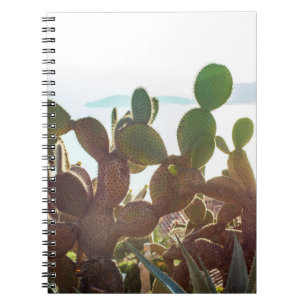 Cuaderno Hojas de cactus. Planta al aire libre con luz inte