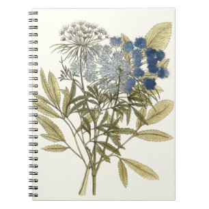Cuaderno Hojas de encaje - Flores y vegetación