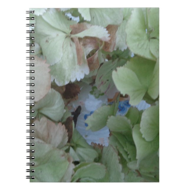 Cuaderno Hojas de hidrangea (Frente)