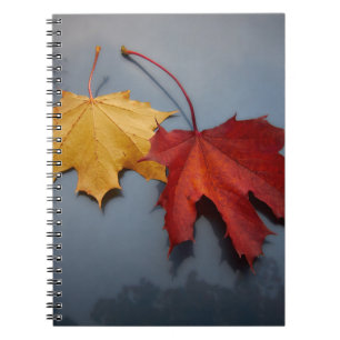 CUADERNO HOJAS DE MAPLA ROJA Y AMARILLA