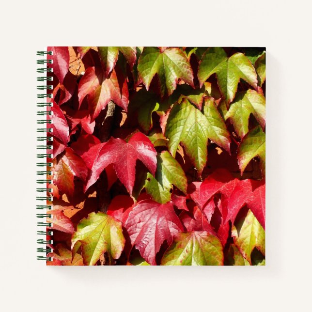 Cuaderno Hojas de otoño (Anverso)