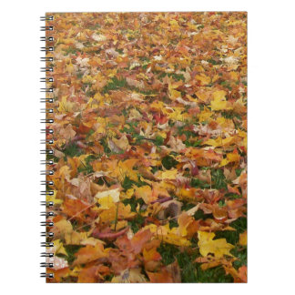 Cuaderno Hojas de otoño