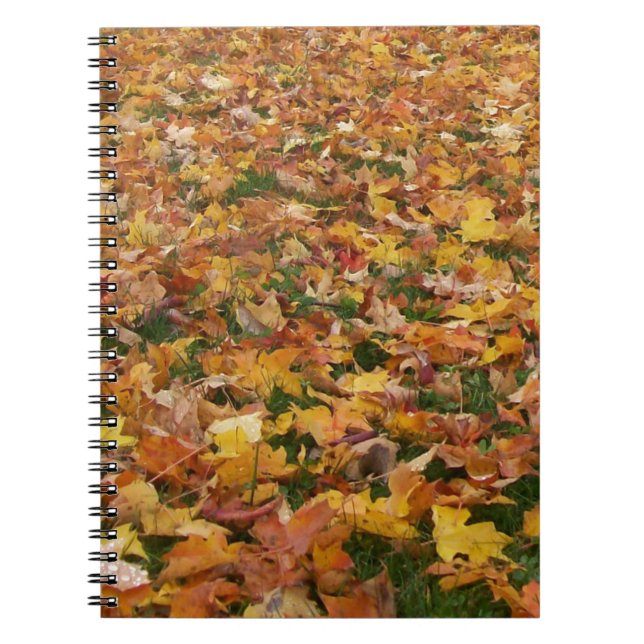 Cuaderno Hojas de otoño (Frente)