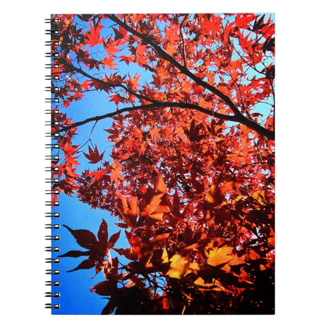 Cuaderno Hojas de otoño (Frente)