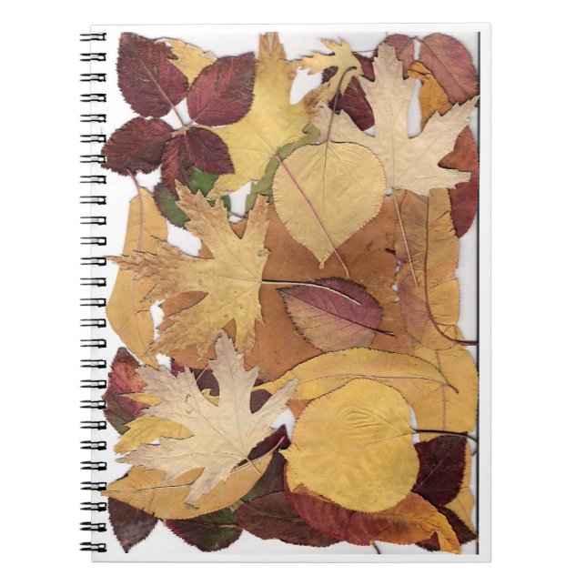 Cuaderno Hojas de otoño (Frente)