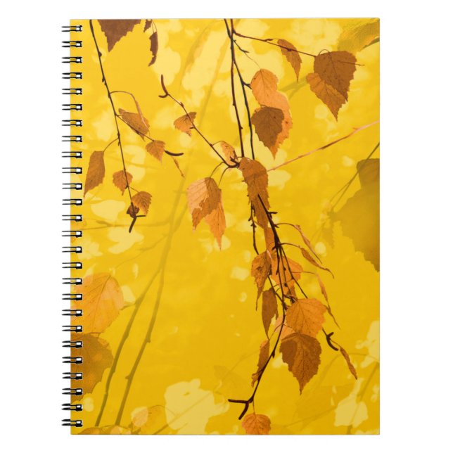 Cuaderno Hojas de otoño 3 (Frente)