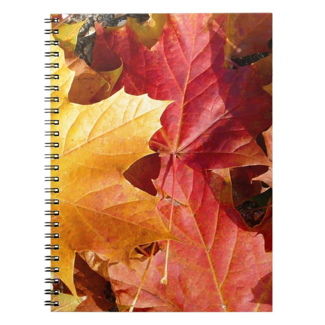 Cuaderno Hojas de otoño - ¡Asombroso! (Frente)