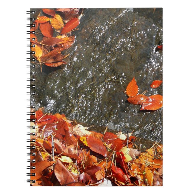 Cuaderno Hojas de otoño en cascada I Fotografía de otoño (Frente)