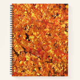 Cuaderno Hojas de otoño en el árbol - fotografía.