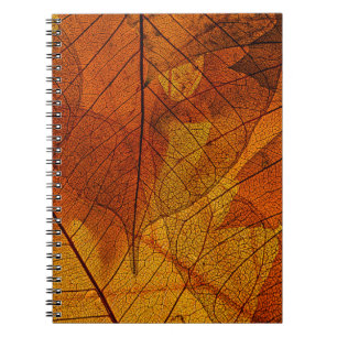 Cuaderno hojas de otoño en el detalle otoño, fondo, belleza