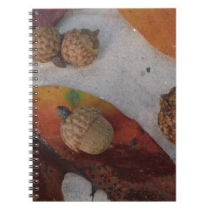 Cuaderno hojas de otoño y bellotas naranjas