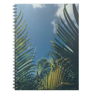 CUADERNO HOJAS DE PALMA TROPICAL